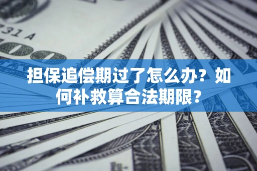 北京担保追偿期过了怎么办？如何补救算合法期限？