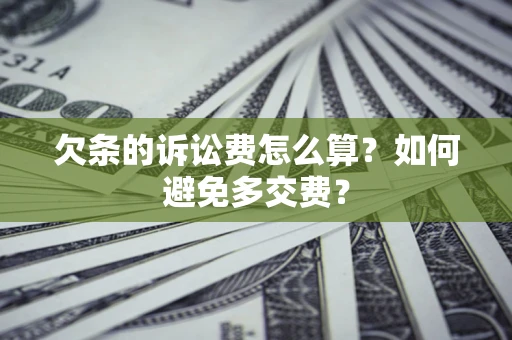 北京欠条的诉讼费怎么算？如何避免多交费？