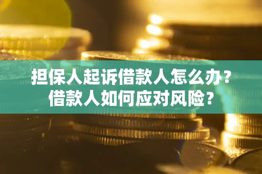 北京担保人起诉借款人怎么办？借款人如何应对风险？