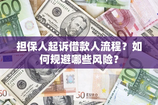 北京担保人起诉借款人流程？如何规避哪些风险？