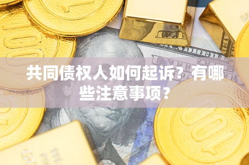 北京共同债权人如何起诉？有哪些注意事项？